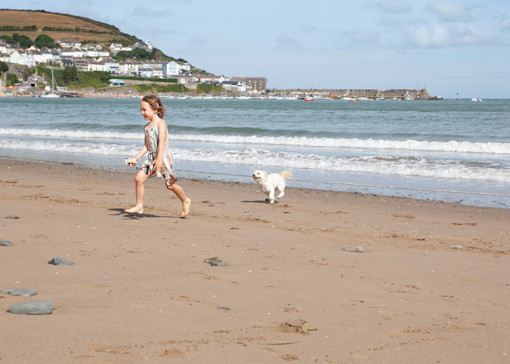 Dog-friendly things to do in South Wales