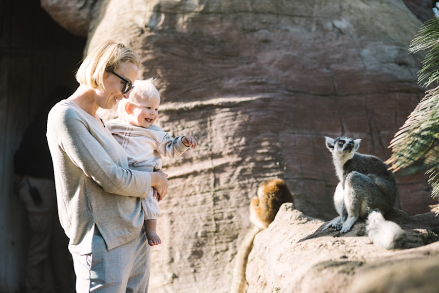 Best places to visit for babies and toddlers in Sussex