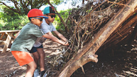 Den Building