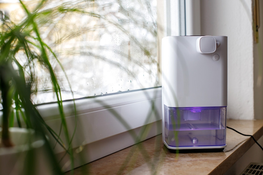 5. Use dehumidifiers
