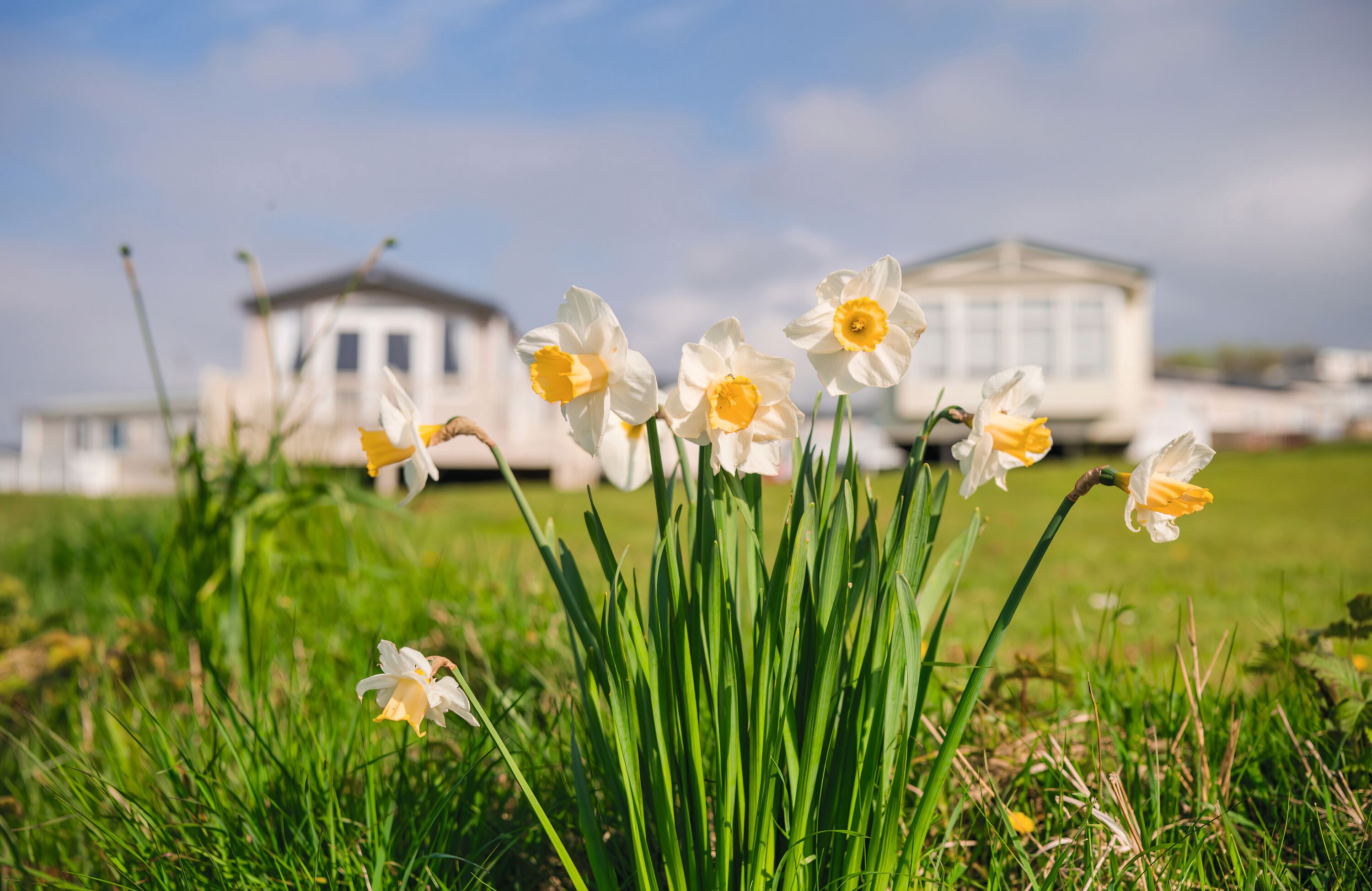 Early Spring breaks at Haven