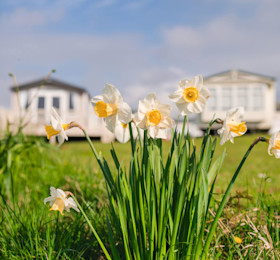 Early Spring breaks at Haven