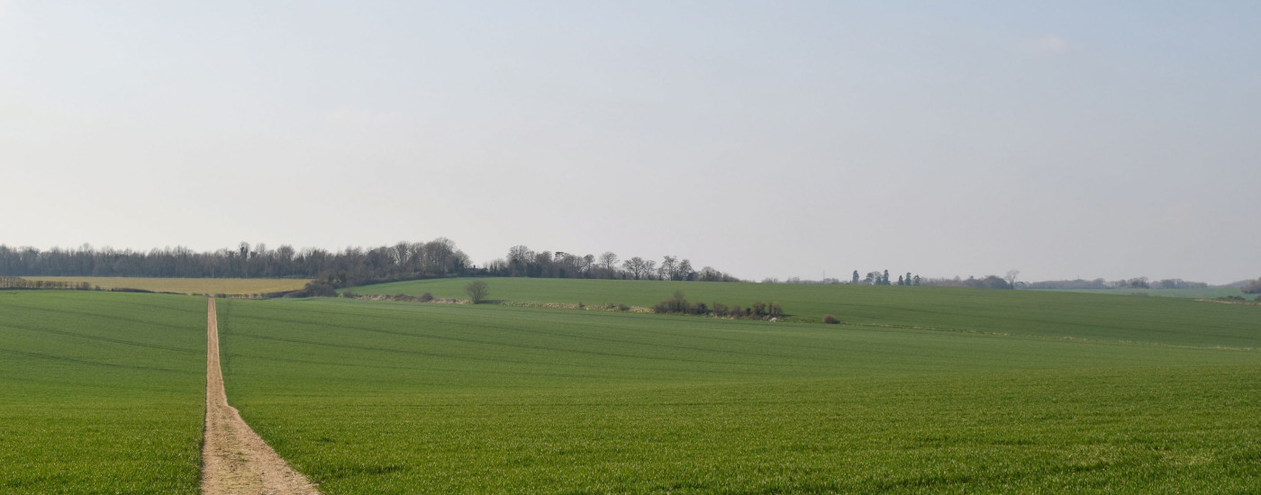 Countryside footpath across green fields in Kent