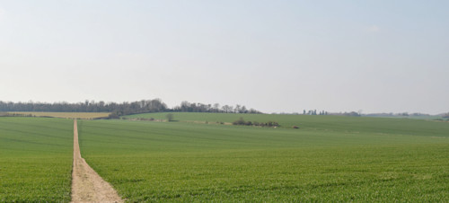 Countryside footpath across green fields in Kent