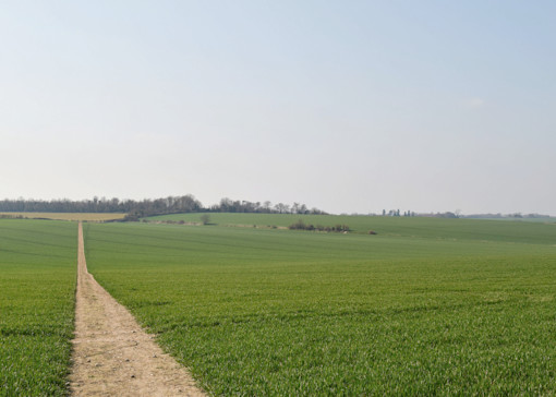 Best walks in Kent
