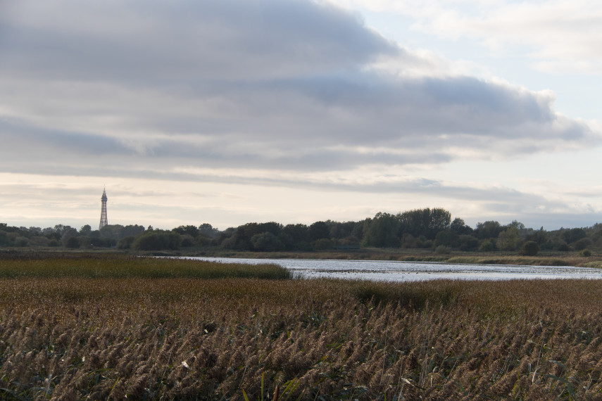 2. Marton Mere, Blackpool 