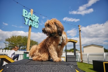 Bark Yards at Haven holiday parks