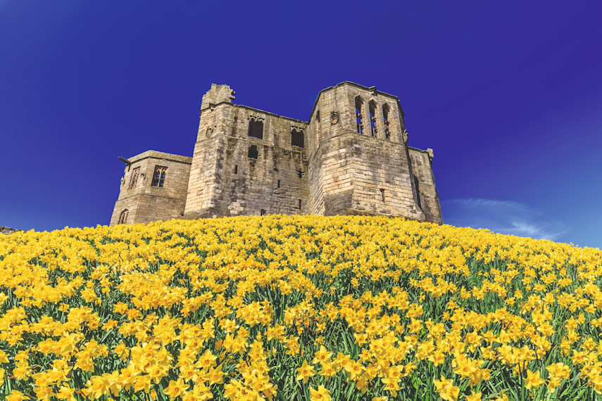 Warkworth Castle