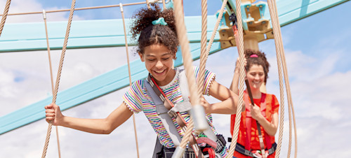 Aerial Adventure at Hafan y Mor