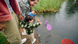 Pond dipping at Primrose Valley