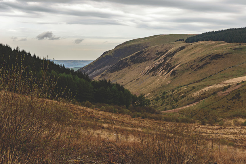 Tregaron Cambrian Mountains Circular