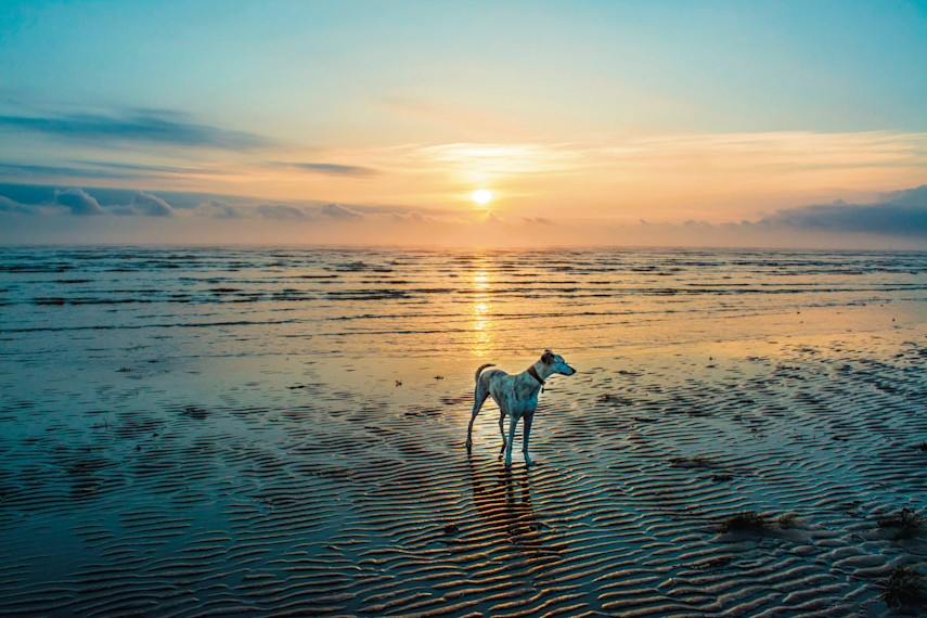 Saltfleetby Theddlethorpe Dunes Beach, near Mablethorpe