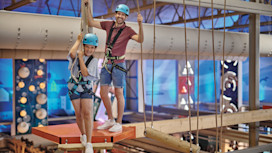 Aerial Adventure at Craig Tara