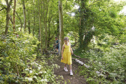 Woodland areas are nature's own playgrounds and the one at Kent Coast is great for exploring