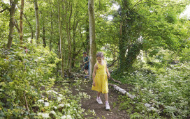 Woodland areas are nature's own playgrounds and the one at Kent Coast is great for exploring