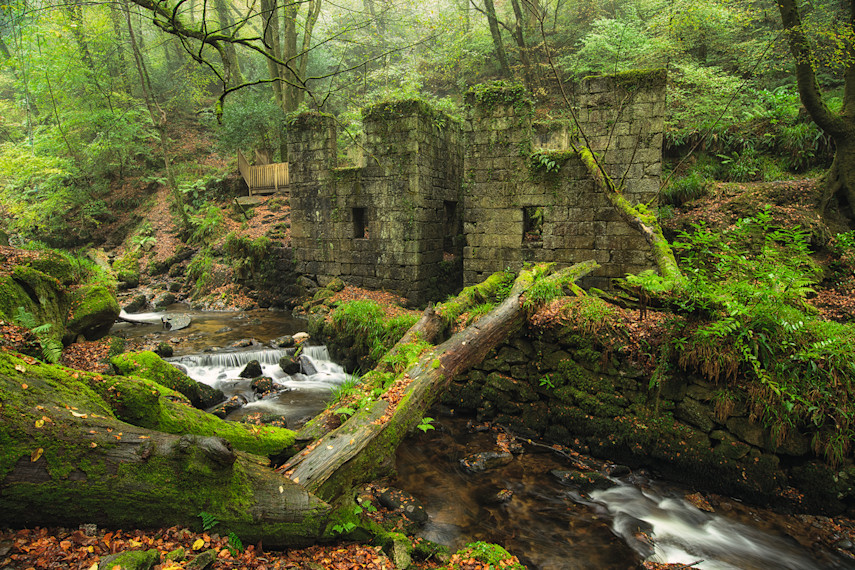 Kennall Vale Nature Reserve 