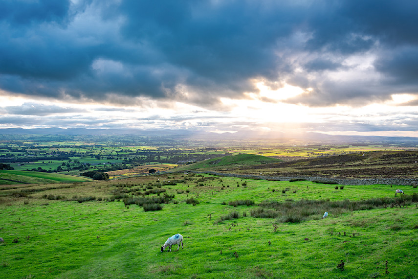 Eden Valley