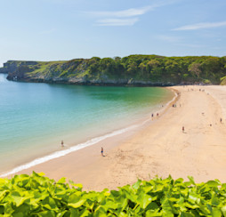 Stackpole & Barafundle Bay Circular, Pembrokeshire 