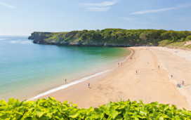 Stackpole & Barafundle Bay Circular, Pembrokeshire 