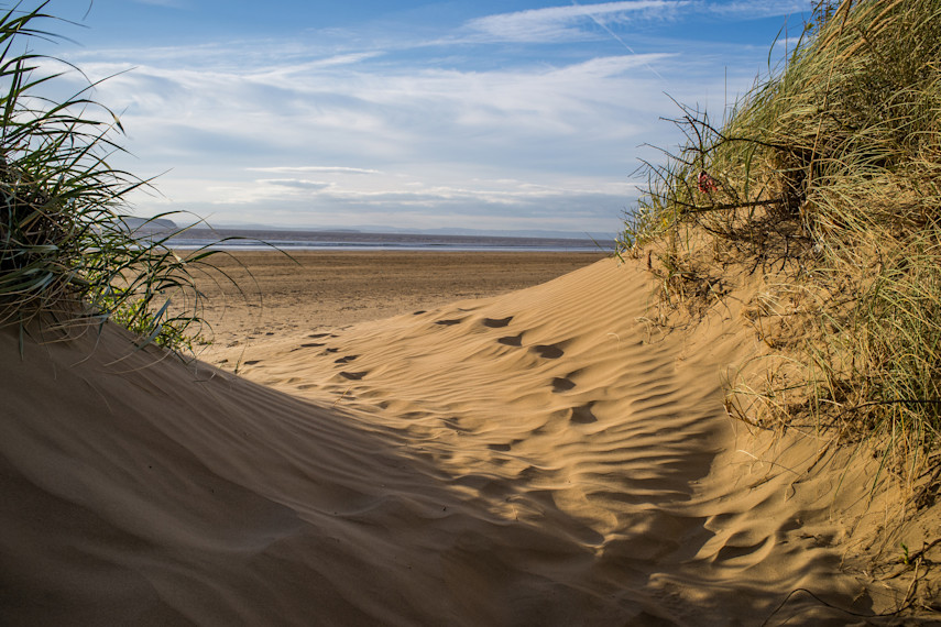 Play fetch on Brean Beach