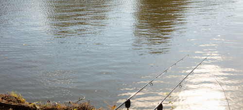 Sea fishing