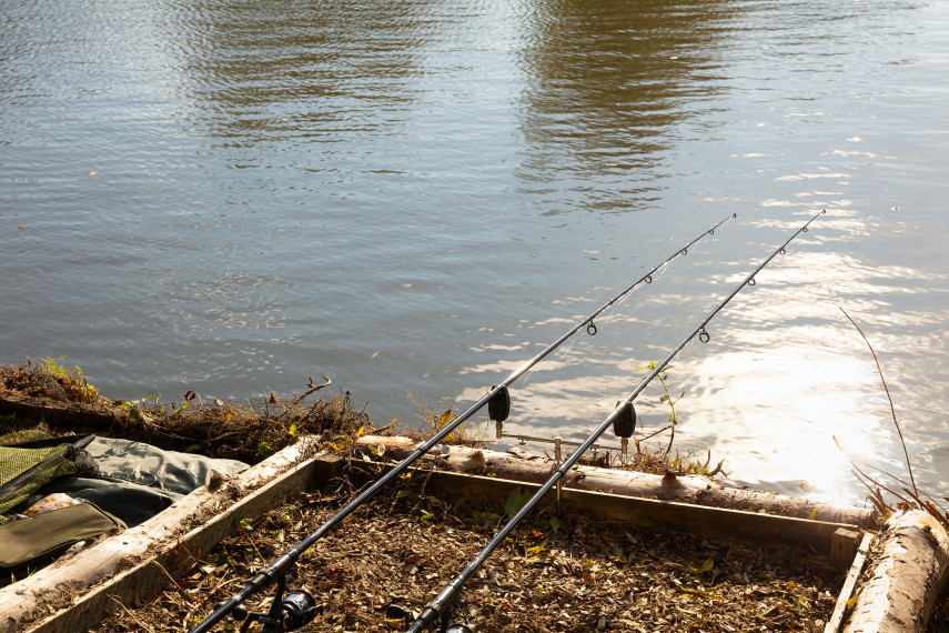 Sea fishing