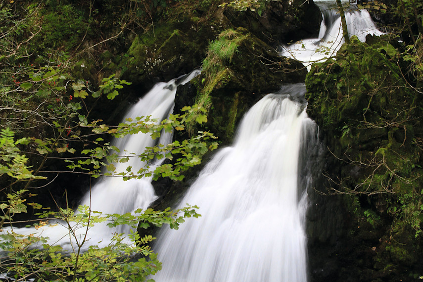 Colwith Force