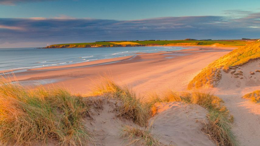 Lunan Bay Beach, Angus