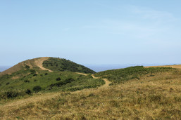 The Brean Downs in Somerset