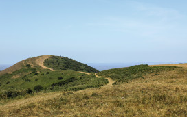 The Brean Downs in Somerset