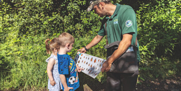 Nature Trail