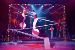 DE - Park - Carousel - Big Top Circus