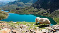 Snowdonia National Park