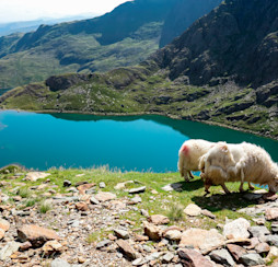 Snowdonia National Park