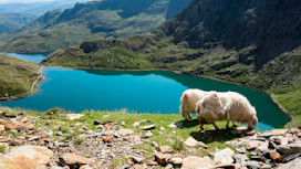 Snowdonia National Park