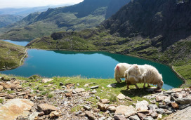 Snowdonia National Park