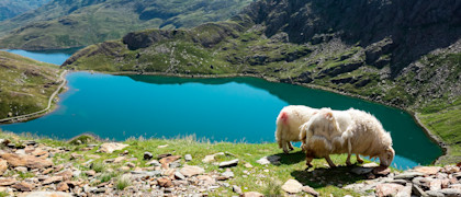 Snowdonia National Park