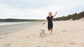 The beach near Kiln Park
