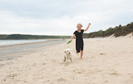 The beach near Kiln Park