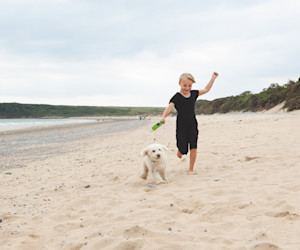 The beach near Kiln Park