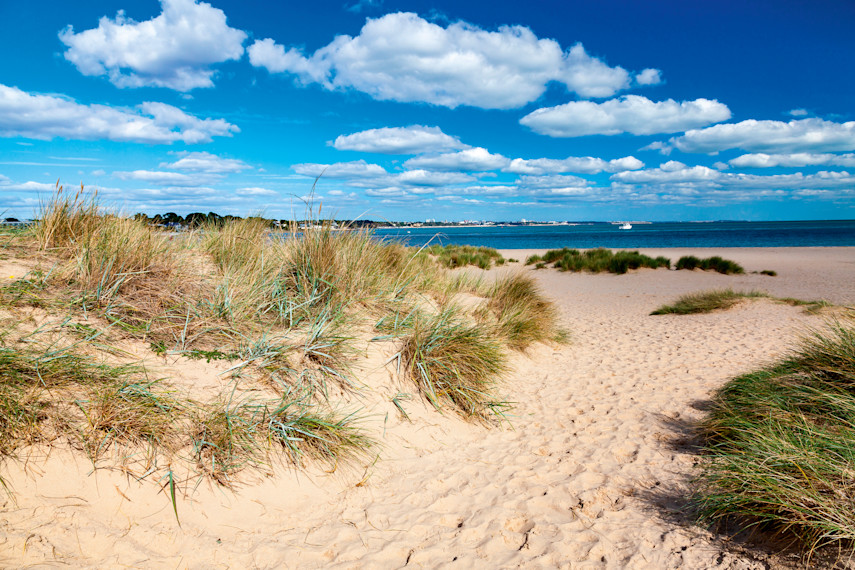 Shell Bay, Studland