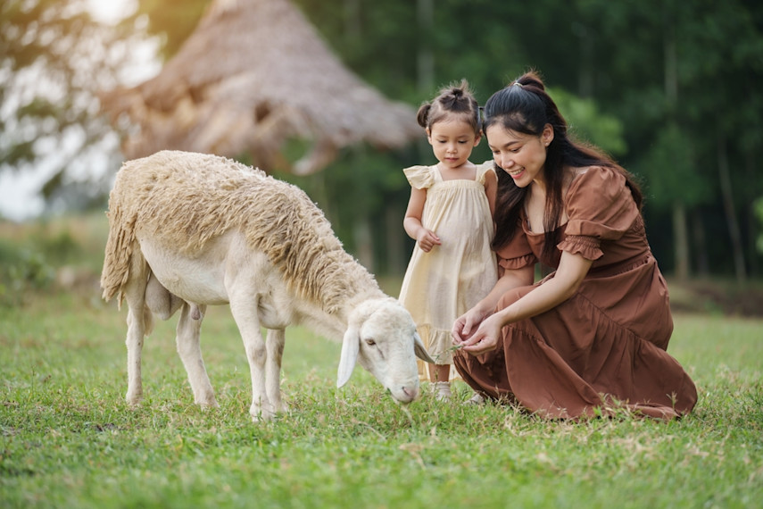 Best places to visit for babies and toddlers in North Wales