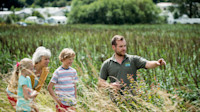 Nature reserve at Marton Mere
