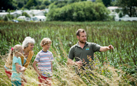 Nature reserve at Marton Mere