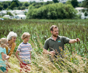 Nature reserve at Marton Mere