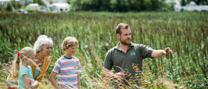 Nature reserve at Marton Mere