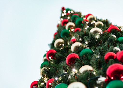 Book your Haven passes to Santa's Festive Fun Day in Great Yarmouth!