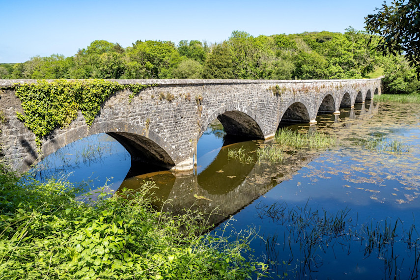 Walk in Bosherston Lily Ponds, Bosherston
