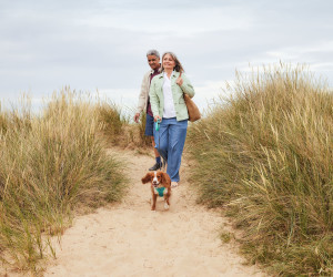 The North Dene dunes