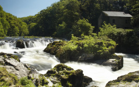 Cenarth Falls in South Wales.